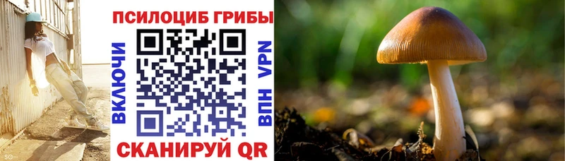 гидра ONION  купить закладку  Переславль-Залесский  Галлюциногенные грибы Psilocybe 